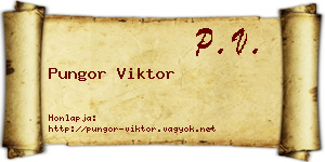 Pungor Viktor névjegykártya